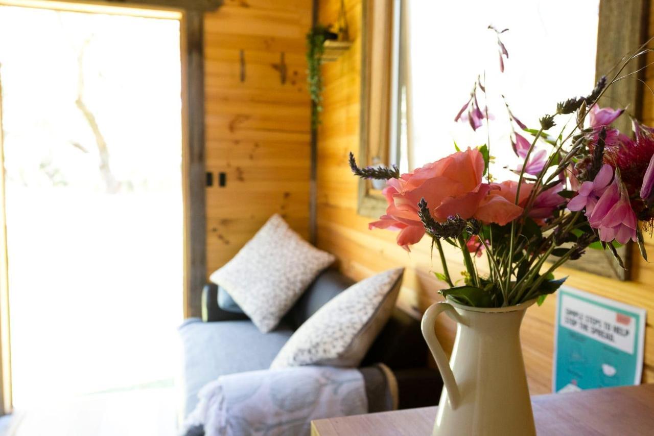 Ardingly Tiny House Villa Newham Exterior photo